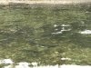 IMG_2276