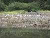 IMG_6505