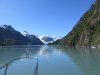 Heading towards Tiger Glacier dodging the icebergs
