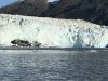 IMG_2417
