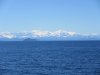 IMG_6580