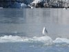 IMG_6593