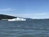 IMG_2504