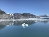 IMG_2546