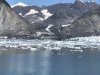 IMG_2577