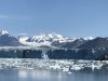 IMG_2579