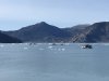 IMG_2586