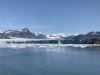 IMG_2591