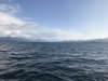As we left Glacier Island we went by Bligh Reef, just outside Bligh Island at the mouth of the Valdez Channel.