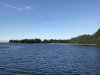 View from our anchorage Zakof Bay on Montague Island