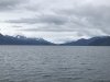 IMG_2255