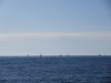 IMG_6746
