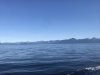 IMG_2675