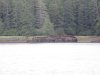 Never like to see old wrecks in these tiny narrows