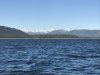 Sunny and blue sky as we start to head north deep into Glacier Bay NP