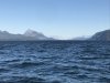 IMG_2733