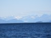 IMG_6798