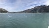 IMG_2917
