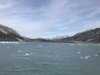IMG_2919