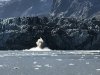 IMG_3081