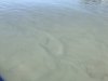 Very glacier silted waters