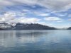 IMG_3162