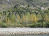 IMG_6985