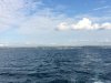 Leaving Kupang