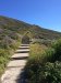 The stairs we climbed to the top
