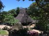 Traditonal house