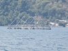 Huge fish traps made out of bamboo
