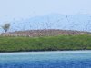 IMG_8163