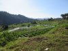 IMG_8215