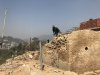 IMG_1711