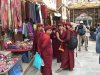 Some of the many monks