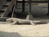 IMG_8414