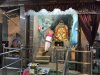IMG_0551