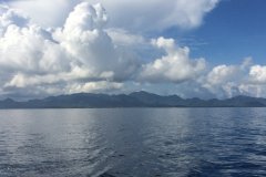 Kumai and Orangutans