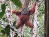 Doyo.....the alpha male at station 2....mayb e20+ years old