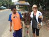 You take this horse carriage from the dock to the land taxis