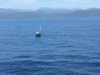 Another fish trap