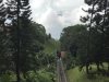 Going up the cable car to Penang hill......2300 feet high