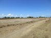 The very dry interior but it must flood in the wet season; those are rice fields