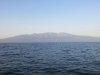 IMG_8484