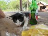 Kitty luv!!