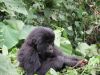 This is the Kwitando troop