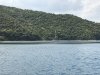 The Japanese sailboat who helped us with our mooring
