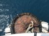 The huge Coast Guard mooring that kept bumping Mystic leaving black marks...ugh!!!