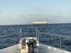My guess was 1/2 mile but AIS said it was 1 mile away....looked huge.....to the ships credit, it did divert 10* to avoid us!!!