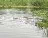 IMG_8095